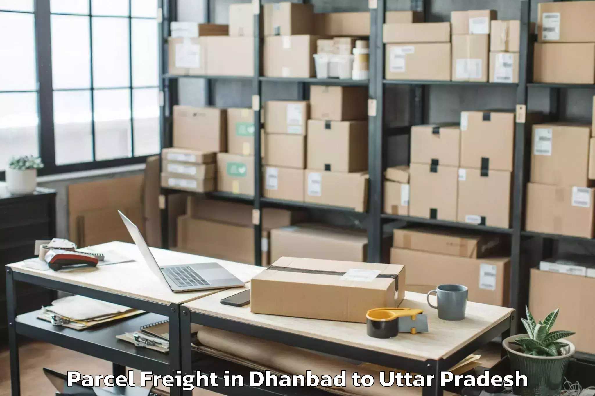 Book Dhanbad to Mauranipur Parcel Freight Online